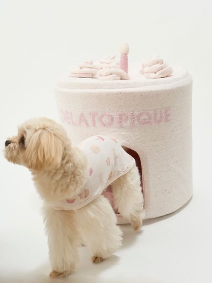 gelato pique｜【CAT&DOG】【販路限定商品】 スムーズィーケーキハウス