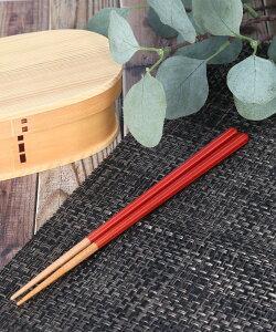 BACKYARD FAMILY Haze p`̂ 23cm [ HEELb`pi Jg[ u[ bh