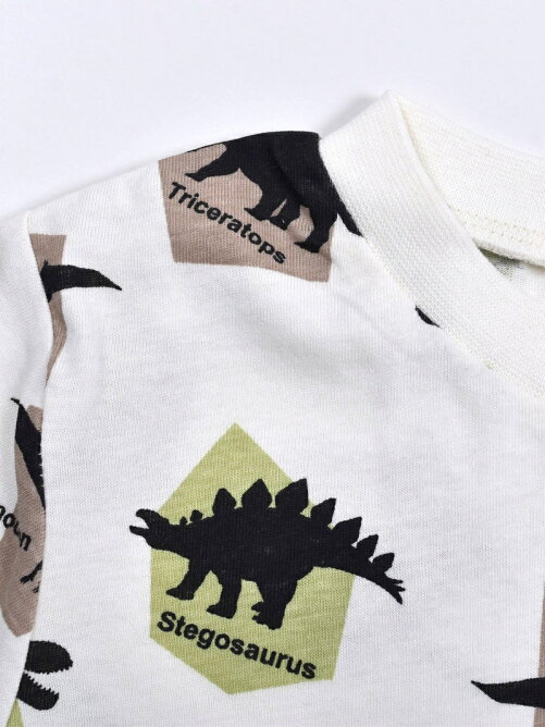 Bebe Online Store 恐竜柄 半袖 Tシャツ ショートパンツ セットアップ 80 1cm Rakuten Fashion 楽天ファッション 旧楽天ブランドアベニュー Cu3961