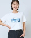 (W)ピマ・コットン・クルーネック・グラフィック・ティ 米国フィット・レギュラー