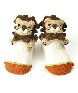 BACKYARD FAMILY POMPKINS |bvAbv\bNX [ }^jeBEFAExr[pi xr[\bNX sN u[