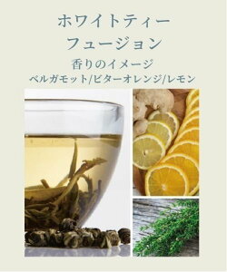 PROLITEC PROLITEC/PROLITEC(vebN)/AirQ160pJ[gbW zCgeB[t[W AgXNGA CeAEG fBt[U[EEA}ICELh zC