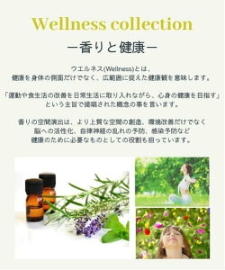 PROLITEC PROLITEC/PROLITEC(vebN)/AirQ160pJ[gbW Xp[Jv^X AgXNGA CeAEG fBt[U[EEA}ICELh zCgy