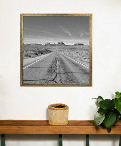 BACKYARD FAMILY nJ`z V 50p [ CeAEG tHgt[Eʐ^