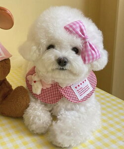 ySALE^20%OFFzaimoha home aimoha home/`FbN ybgpX^C ACn ybgpi ̑̃ybgpi sN bh u[ CG[