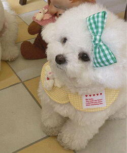 ySALE^20%OFFzaimoha home aimoha home/`FbN ybgpX^C ACn ybgpi ̑̃ybgpi sN bh u[ CG[