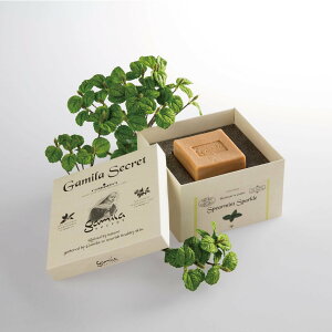 Gamila Secret yzK~V[Nbg XyA~g[  Ό ێ q h ] K~V[Nbg XLPA 痿EtH[