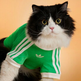 adidas 【公式】アディダス adidas ペット Tシャツ アディダス ペット用品 ペットウェア・ペット服 グリーン【送料無料】