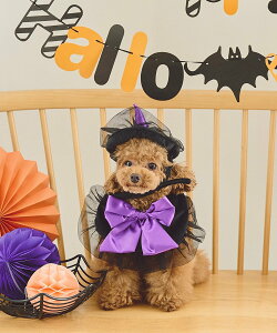 ROPE' PICNIC PASSAGE yDOGznEBZbg ysNjbN ybgpi ybgEFAEybg ubN