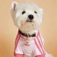 adidas 【公式】アディダス adidas ペット Tシャツ アディダス ペット用品 ペットウェア・ペット服 ピン…