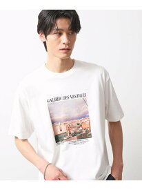 【SALE／20%OFF】THE SHOP TK 【旅するTシャツ】フォトプリント マシンウォッシャブル/サスティナブル ザ ショップ ティーケー トップス カットソー・Tシャツ ホワイト ピンク ブラウン ベージュ ブラック ブルー【RBA_E】