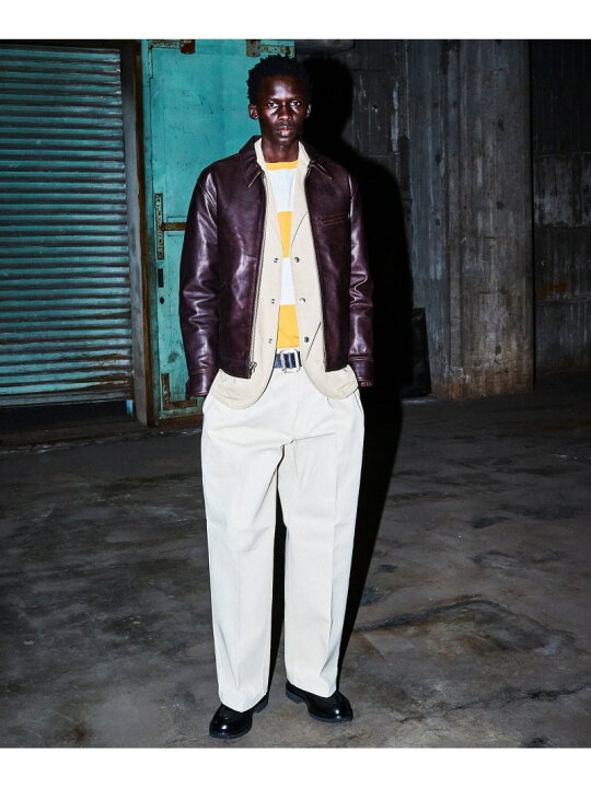 楽天市場】Schott ×DICKIES/ディッキーズ/TC WORK PANTS/TC ワーク 