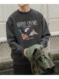 URBAN RESEARCH ITEMS パウダー加工 裏起毛スウェットプルオーバー アーバンリサーチアイテムズ トップス スウェット・トレーナー【送料無料】