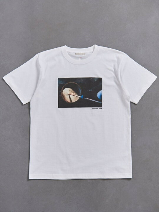 楽天市場】UNITED ARROWS 仙禽×UNITED ARROWS プリントTシャツ 