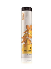 eLGON (U)(公式) ARシュプリームシャンプー250ml アルガン サロン専売品 エルゴン ヘアケア シャンプー