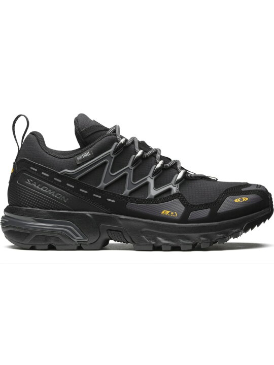 楽天市場】SALOMON ＜公式＞ACS + CSWP サロモン シューズ・靴 