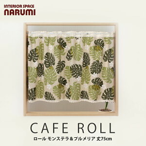 I[_[JtFJ[e  [ XevA 75cm JtFJ[e JtF k O [X I[_[ ډB  p  pI[_[J[e y10cmPʂł̂