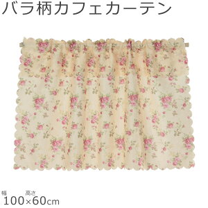 JtFJ[e K[f[Y 100×60cm O  C  킢  k   J[e ډB   [Y o KN  t[ t  H ~ Lb` 