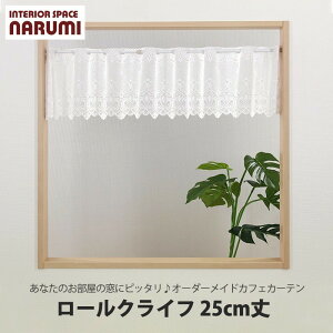 I[_[JtFJ[e  [ NCt 25cm JtFJ[e  JtF k O [X I[_[ ډB  p  pI[_[J[e y10cmPʂł̂