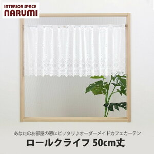 I[_[JtFJ[e  [ NCt 50cm JtFJ[e  JtF k O [X I[_[ ډB  p  pI[_[J[e y10cmPʂł̂