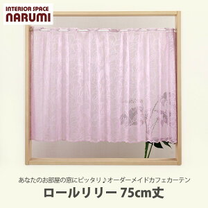 I[_[JtFJ[e  [ [ 75cm JtFJ[e  JtF k O [X I[_[ ډB  p  pI[_[J[e y10cmPʂł̂Ƃ