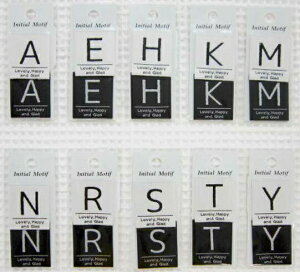 CjV`[tV[YInitial Motif seriesyCjV^Ol[zDt^CvzCgƃubN2BobOm̖ڈɁ(At@xbg/AbvP/by)