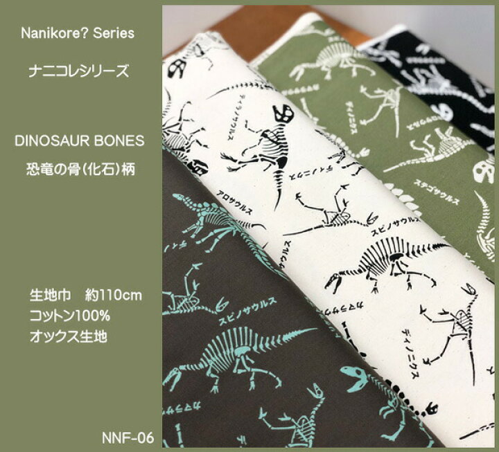 504円 配送員設置送料無料 KIYOHARA Nanikore?シリーズ 生地 オックス 恐竜 の 骨 110cm巾×1mカット G グリーン 入学 入園グッズ 3点 504円 配送員設置送料無料 KIYOHARA Nanikore?シリーズ 生地 オックス 恐竜 の 骨 110cm巾×1mカット G グリーン 入学 入園グッズ 3点