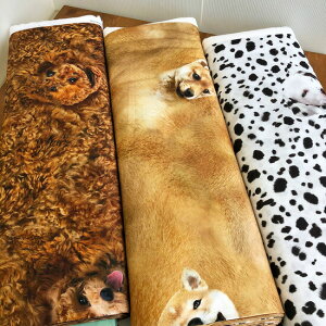 WHAT do you make?/gCv[hEČE_VA̐n/5C̃RBĂCNWFbgvgnł/V[`On/w/g[v[h/Č/_VA/