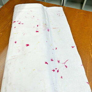 nani IRO _uK[[n/Flowers bloom&Bear fruits/ijCWK[[nł/ɓ/Naomi Ito/ԕ/ʕ