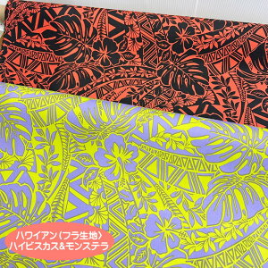 nCAnnCrXJX&Xetnn̂TCu[hnt/nCAfUC/t_Xߑ