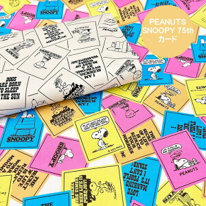 PEANUTSIbNXn/Xk[s[75thJ[h̐n/PEANUTS/Xk[s[/w/SNOOPY/N25