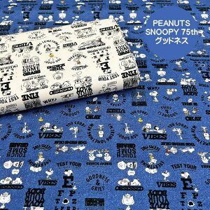 PEANUTSIbNXn/Xk[s[75thObhlX̐n/PEANUTS/Xk[s[/w/SNOOPY/N25