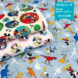 fBYj[LN^[IbNXn/~bL[&~j[}EX̐n/2025BTSV[Y/w/N25