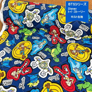 fBYj[LN^[LeBOn/gCEXg[[̃Lgn/2025BTSV[Y/w/gCXg[[/Disney/N25