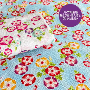 bvn  /G߂Ɋ􃊃bvTbJn/TbJn/bvn/ʂ̂鐶n/