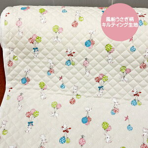 DLeBOn/DłӂӂETMLgn/LbYhV[Y/rbg/DKids Land/w/N25