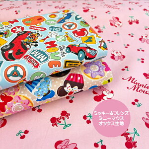 �f�B�Y�j�[�I�b�N�X���n/�~�b�L�[&�t�����Y��/�~�j�[�}�E�X��/BTS�V���[�Y/�f�B�Y�j�[�L�����N�^�[/�������w/Disney/N26