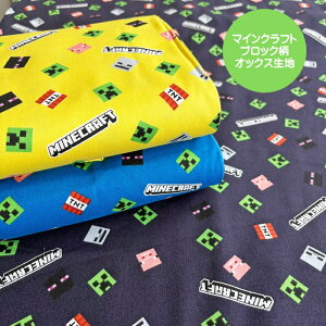 }CNtgIbNXn/lCQ[}CNtg̐nł/ubN/}CNLN^[/w/N25