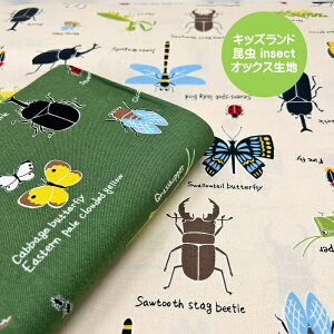 IbNXn/̃CXgƉp̖Ovgꂽn/insect/ԂƂނ/킪/LbYh/w/N25