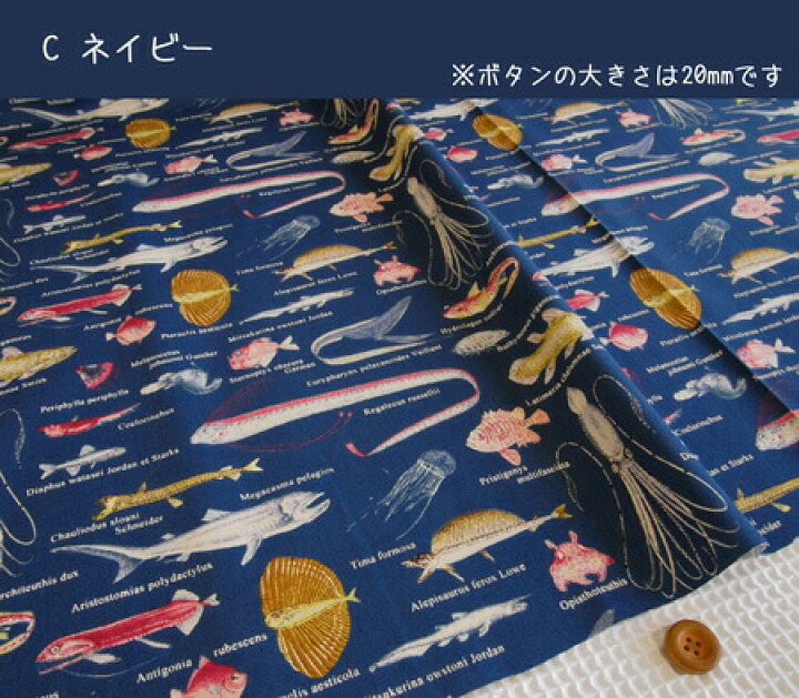 楽天市場】＜＜キッズプリント＞＞シリーズ生地/海の生きものずかん柄 