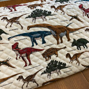 LeBOnLbYvgV[Yn/w}ӃV[Yx̃Lgnł/j̎q/w/bXobO/V[YobO/В//N20