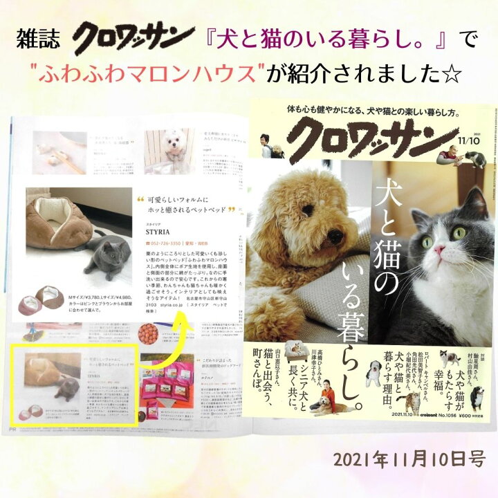 STYRIA スタイリア犬 猫 おしゃれ リバーシブル 通年 ベッド ペット 3paw 洗える M オールシーズン 中型犬 ふかふか ペットベッド かわいい クッション 大型犬 小型犬 STYRIA スタイリア犬 猫 おしゃれ リバーシブル 通年 ベッド ペット 3paw 洗える M オールシーズン 中型犬 ふかふか ペットベッド かわいい クッション 大型犬 小型犬