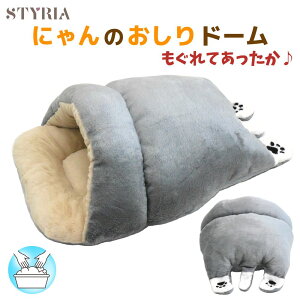 y{ڊӁI|Cgő4{×DǃVbvӃN[|Iz L ybg h[^ STYRIA ɂ̂ h[ ~ g 􂦂 킢  nEX xbh h[ Q z