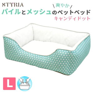 y{ɂf[N[|zzI|CgRz L ybg xbh STYRIA LfBhbg pC ybgxbh t  􂦂 킢  bV 