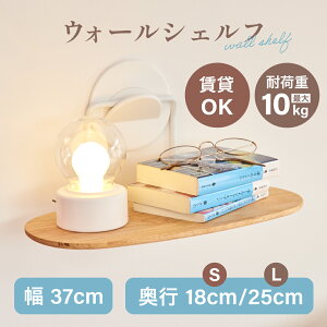 yPitFitzőω׏d10kg̃nOVFt S4 zCg ؖڒ