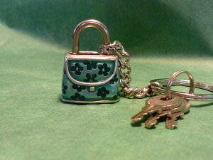 �s���[�^�[���L�[���b�N�i�싞���j�Ήԕ��o�b�O