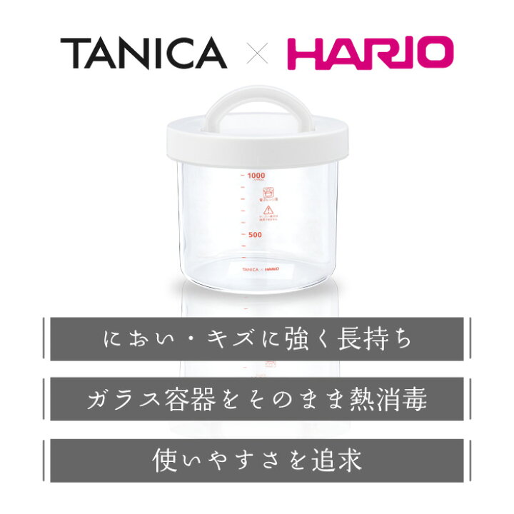 楽天市場】【公式】タニカ ヨーグルティアS ガラスセット 日本製 