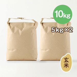 yTANICAzߘa7NxY PIcāiājbVābPꌴāb򕌌bߎsbRVqJb5kgb10kgi5kg×2j