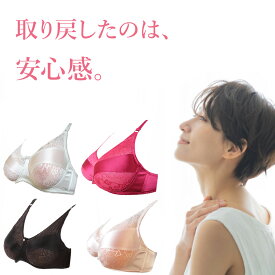 シリコンバスト専用 ブラジャー 乳がん パッド 全摘用 術後 下着 人工乳房 全摘 パット 貧乳 バストアップ おっぱい 偽乳 ブラ シリコンパッド 胸 バスト補正 胸パッド むね 豊胸