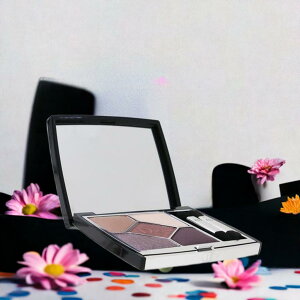 NX` fBI[ CHRISTIAN DIOR TN N[ N`[